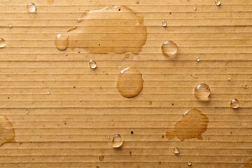 Water-Stained Cardboard Background with water stains and droplets, providing a rustic, textured background for eco-friendly or craft-themed projects.