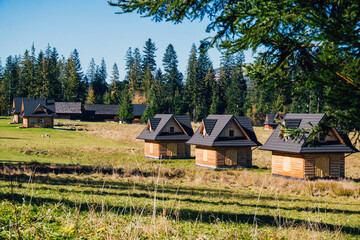 Łąka na Podhalu w Polsce z domkami w stylu góralskim z drewna. © Franciszek