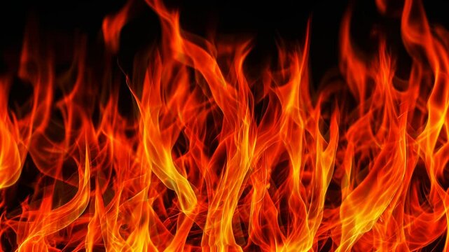 featuring clusters of intensely burning flames. The color of the fire is dominated by orange and bright yellow. The background of the image is pitch black. 4K