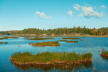 View of Tupper Lake in the Adirondack Mountains, New York