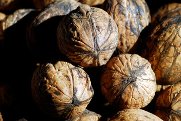 Detail of a group of walnuts (Juglans regia)