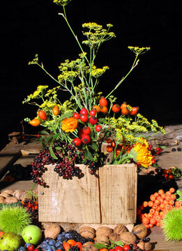 Still life of autumn wild fruits with chestnuts, walnuts and oth