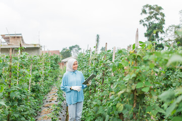 An elderly woman carefully inspects her flourishing and vibrant garden crops that thrive