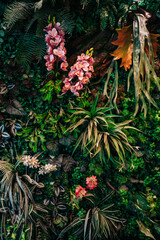 Close up group of background tropical green leaves texture and abstract background. Tropical leaf nature concept.
