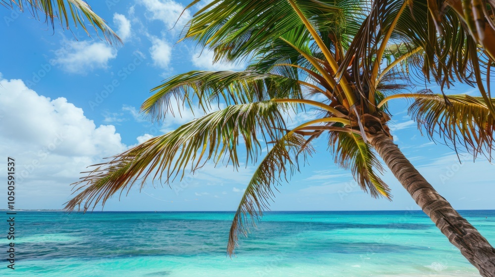 Poster A stunning view of the pristine beaches and turquoise waters of the Caribbean with palm trees swaying gently in the breeze under a bright, sunny sky, tropical setting with vibrant blues and greens