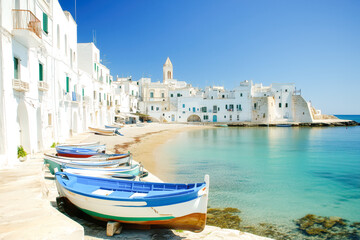 A quaint seaside village with colorful fishing boats and sandy beaches.