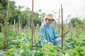 A woman is in a beautiful garden, diligently harvesting fresh vegetables beneath a cloudy sky