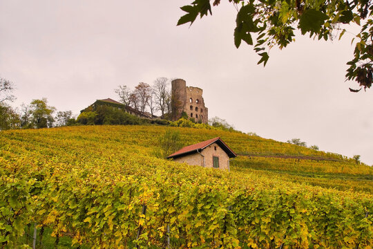 Die Strahlenburg hoch &uuml;ber dem Wein&ouml;rtchen Schriesheim an der badischen Bergstra&szlig;e