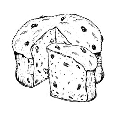 Hand drawn ink vector illustration of traditional Italian Christmas pastry Panettone. Sketchy style clip art of festive raisin pie suitable for New Year print, bakery packaging, pastry shop, cafe menu