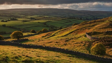 Fototapeta premium breathtaking landscape showcasing Ireland's lush, undulating hills, cloaked in vibrant autumnal golden hues. Ancient stone walls weave gracefully through fields adorned with wildflowers beneath a dram