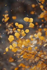 Fototapeta premium Golden Autumn Leaves: A Close-Up View of Nature's Beauty