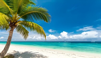 Obraz premium Tropical Paradise: A Palm-Fringed Beach Under a Clear Blue Sky