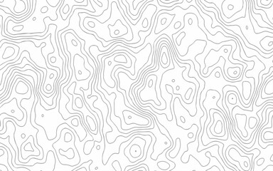 Fototapeta premium Topography background. Vector banner. Topography map background. 