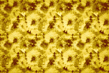 Brown Dirty Spiral. Yellow Psychedelic Poster.