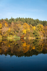 Fototapeta premium Autumn forest and lake with mirror reflection 