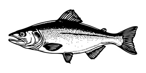 Fish Vector Art & Illustration