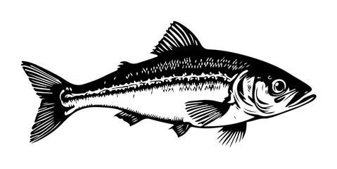 Fish Vector Art & Illustration
