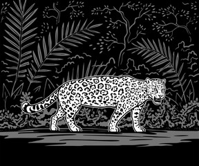 Jaguar in the wild jungle. Big cat hunting in the tropical forest. Zoo and fauna. Animals in the wild. Vector art black and white illustration. Hand drawn style outline
