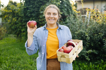 Happy Caucasian 30s farmer worker woman hands holding picking fresh ripe apples in orchard garden...