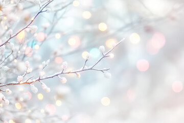 Colorful pastel string lights on a white background
