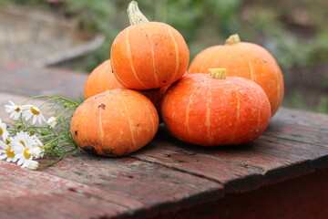 pumpkins on a table