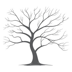 Detailed tree silhouette Isolated on a white background