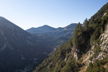 Naklejka premium Early morning in Pirin national park in Bulgaria with green trees