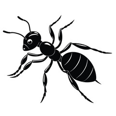 An Ant silhouette vector with a white background