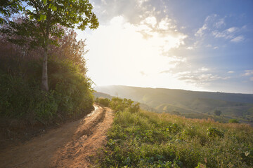 path in the mountain with sunshine