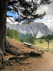 landscape with mountains and trees dolomiti dolomiten