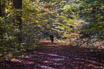 Mountainbiker fährt durch den saarländischen Herbstwald