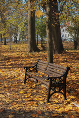 Autumn in Białystok Park - Planty