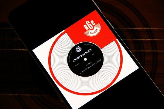 Chico Buarque - Francisco Buarque de Hollanda, mais conhecido como Chico Buarque, &eacute; um cantor, compositor, violonista, dramaturgo, escritor e ator brasileiro. 