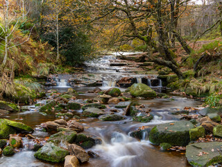 Beautiful autumn landscape of the peak district with an ancient woodland river, overcast stormy sky and old oak forest moorlands