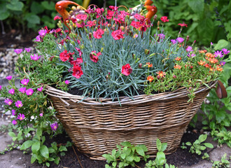 Basket of Flowers in the Garden