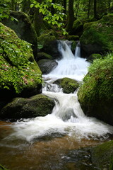 Gertelbachfaelle im Schwarzwald