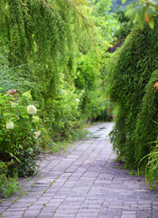 Entrance Path of Lake Lure Flowering Bridge