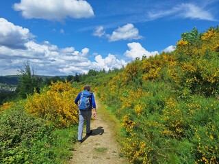 Wanderer bei Kirchen an der Sieg
