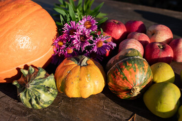 Gifts of autumn vegetables and fruits