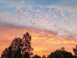 Fototapeta premium Beautiful sunset sky with vibrant colors and silhouettes of trees.