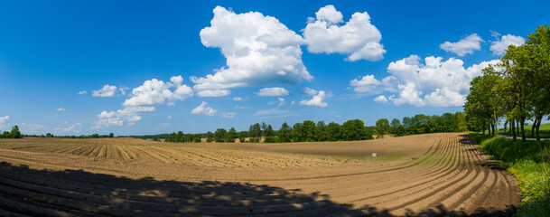 Warmińskie pola 2024 © Krzysiek Cegiełka