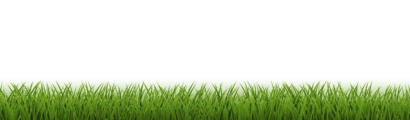 Fototapeta premium Green Grass Border Isolated White