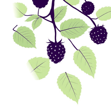 blackberry branch with green leaves clip art preview