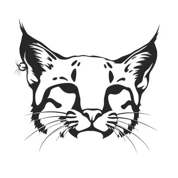 recommend clip art: bobcat silhouette vector illustration White Background. Generative AI