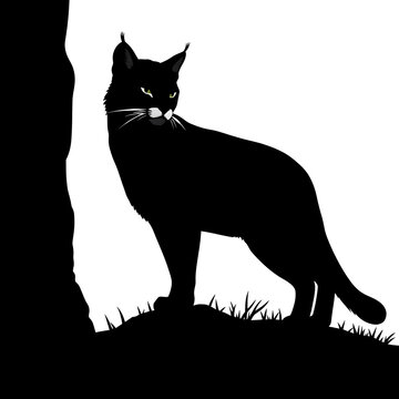 recommend clip art: bobcat silhouette vector illustration White Background. Generative AI