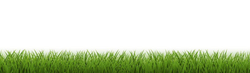 Fototapeta premium Green Grass Border Isolated White
