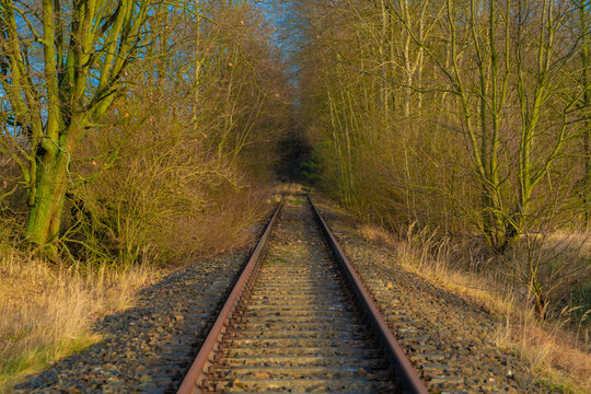 Abandoned railway track in Forest