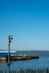 New York Statue of Liberty from Brooklyn
