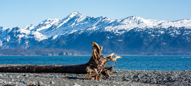 View of the Kachemak Bay from the Homer Spit.