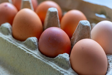 Brown eggs are nestled in a cardboard carton